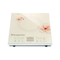 Bếp từ Kangaroo KG418I