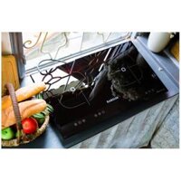 BẾP TỪ KANZLER KA2II