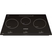 Bếp Từ Mastercook MC-388T