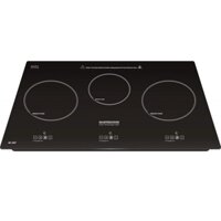 Bếp Từ MASTERCOOK MC-388T