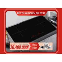 Bếp từ Munchen GM8999