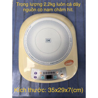 Bếp từ nội địa Nhật TO-PLAN DCL-1300M.