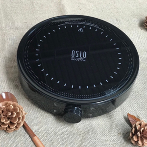 Bếp từ Oslo FS-IC002