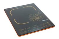 Bếp từ Sanaky SNK-ICC20A