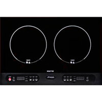 Bếp từ Steba IK 100