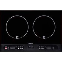 Bếp từ Steba IK 100