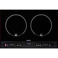 Bếp từ Steba IK 100