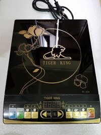 Bếp từ Tigerking PC22N