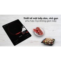 Bếp từ Toshiba IC-20S1PV