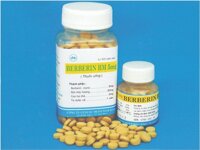 Berberin (500 viên) điều trị Nhiễm trùng đường ruột, ỉa chảy, Rối loạn tiêu hóa