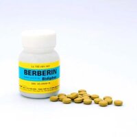 BERBERIN BIDIPHAR – Thuốc Tiêu Chảy – Lọ 100 Viên
