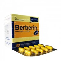 BERBERIN CLORID 100MG