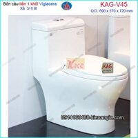 Bệt két liền nano VIGLACERA V45