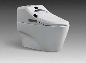 Bệt toilet Appollo APX9