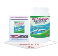 BETA GLUCAN LOẠI LON 1KG