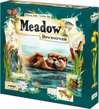 BG: Meadow - Downstream Expansion