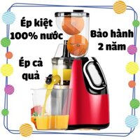 [BH 2 năm] Máy ép hoa quả rau củ tốc độ chậm Hongxin RH-313 cỡ lớn ép cả quả giữ nguyên chất dinh dưỡng- Mẫu mới nhất