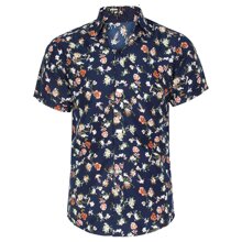 Áo thun nữ FrancisB 034DGR