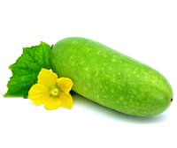 Bí Đao Xanh Vietgap