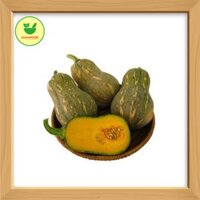 Bí hồ lô CP Đà Lạt – 100g