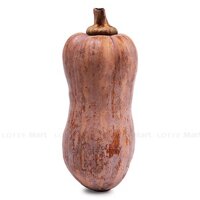 Bí hồ lô giống Mỹ 1kg