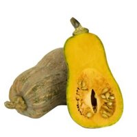 Bí ngô non hữu cơ Hòa Bình Farm