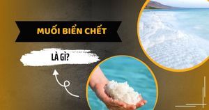 Bí quyết chăm sóc da (khổ lớn) - First News