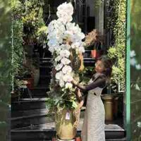 Bí Quyết Chọn Chậu Lan Trồng Trên Gỗ Lũa Làm Quà Khai Trương