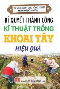 Bí Quyết Thành Công Kĩ Thuật Trồng Khoai Tây Hiệu Quả - KV