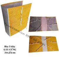 Bìa 3 dây GÁY CỨNG 34x25cm