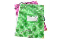 Bìa 3 dây Thảo Linh 10cm