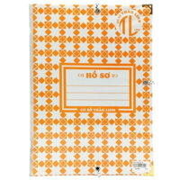 Bìa 3 dây Thảo Linh 10F