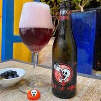 Bia Bỉ Tete de Mort Triple Red 8.2% abv đóng chai 330ml