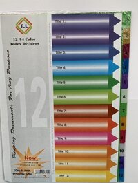 Bìa phân trang (Chia file) nhựa 12 màu