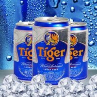 Bia Tiger 12 Lon