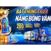 Bia Tiger - Trúng Bóng Vàng Thùng 24 Lon / 330ml - Nồng độ cồn: 5%