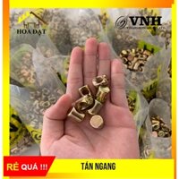 Bịch 100c - Tán ngang, êcu búa 8x15x12mm bảy màu VNH - Sẵn số lượng lớn
