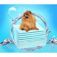 Bịch Tã lót Bỉm cho chó mèo 40-100 miếng siêu tiết kiệm, huấn luyện đi vệ sinh vào khay, chuồng dễ dàng - Miluta Pet