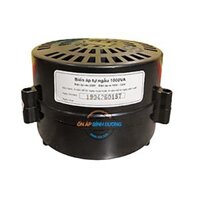 Biến Áp 1 Pha 1000VA LIOA DN010