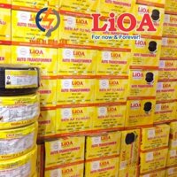 Biến áp 220v ra 110v, đổi nguồn 220v sang 110v, biến áp tự ngẫu LIOA, DN006, Công Suất 0.6kva, 600VA