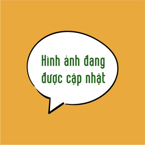 Biến áp cách ly Chint NDK-5000VA IEC