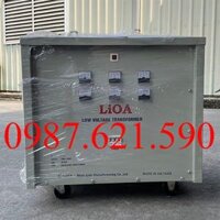 Biến Áp Cách Ly LiOA 30KVA 3 Pha 3K301M2DH5YC