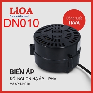 Biến áp đổi nguồn hạ áp 1P LiOA DN010