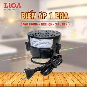 Biến áp đổi nguồn hạ áp 1P LiOA DN010