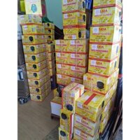 Biến Áp Đổi Nguồn Lioa 200va 400va 600va (Nguồn Vào 220V / Nguồn Ra 100-120V)