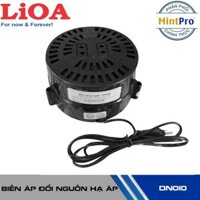 Biến áp đổi nguồn Lioa DN010 1P - 1000VA