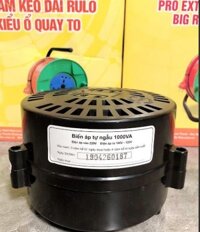 Biến áp lioa dn 1000va