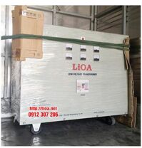 Biến Áp Tự Ngẫu 100kVA 380V-220V-200V