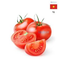 Big Green Cà chua Beef Đà Lạt