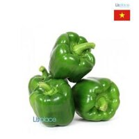 Big Green Ớt chuông xanh Đà Lạt